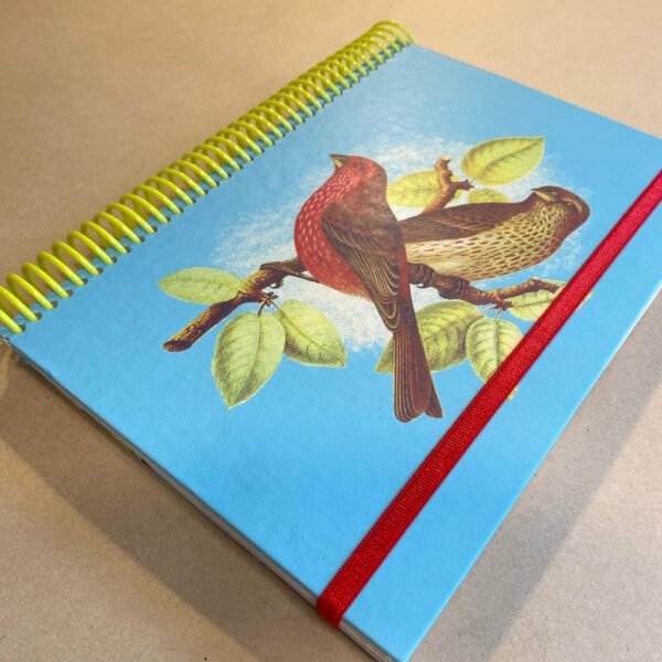 AGENDA | Pajarito Vintage - Imagen 2