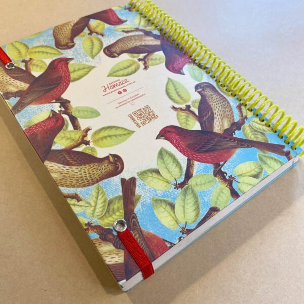 AGENDA | Pajarito Vintage - Imagen 3