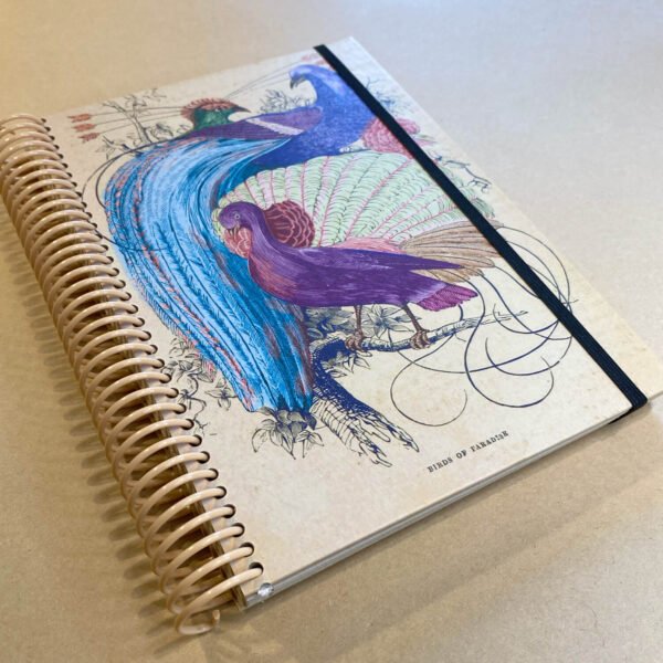 AGENDA | Aves del paraiso - Imagen 2