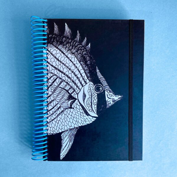 AGENDA | Pez