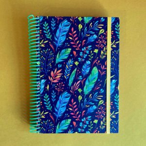 AGENDA | Plumas