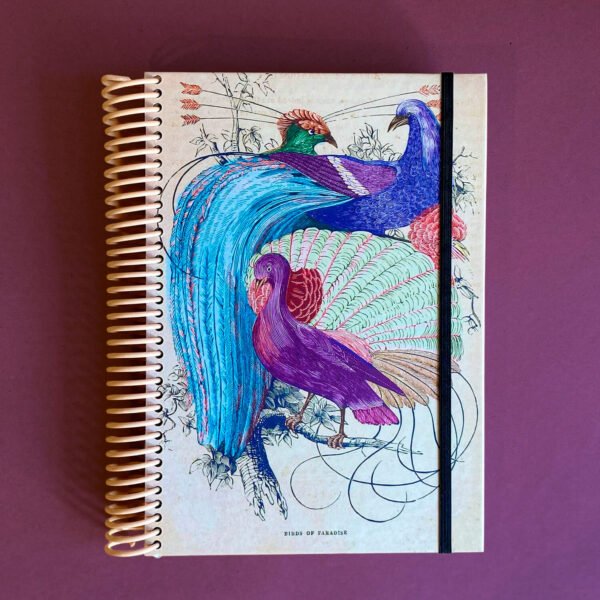 AGENDA | Aves del paraiso