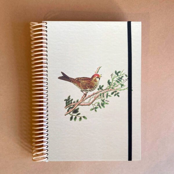 CUADERNO | Pajarito en rama - Imagen 3