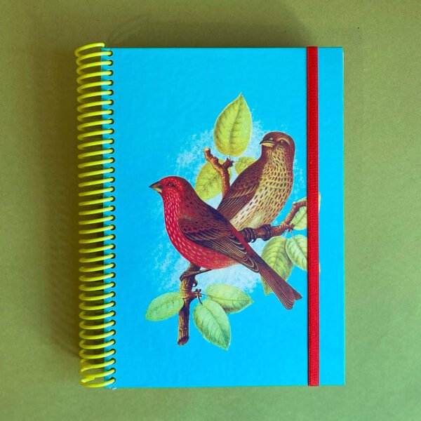 AGENDA | Pajarito Vintage