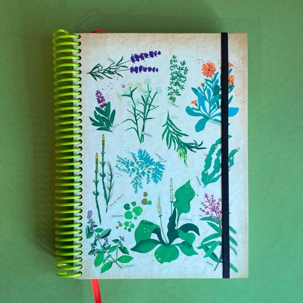 AGENDA | Yuyos día