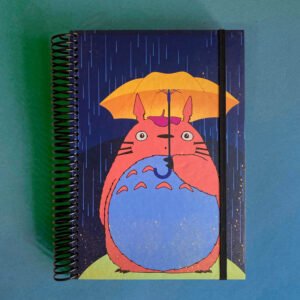 AGENDA | Totoro lluvia
