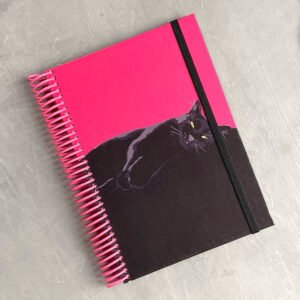 AGENDA | Gato Gama Fuxia