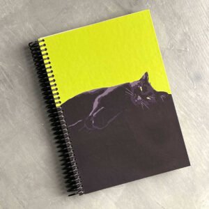 AGENDA | Gato Gama Verde