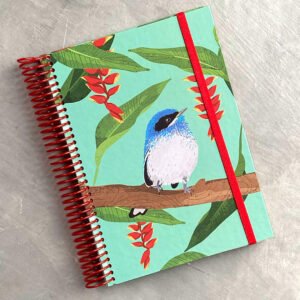 AGENDA | Tacuarita Azul